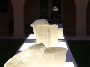 IMG_8176.JPG